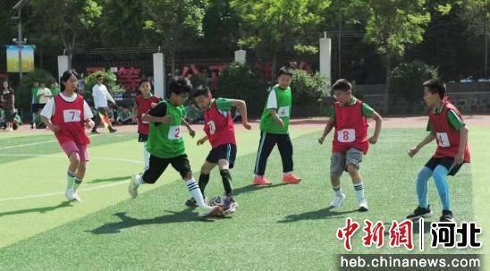 秦皇岛经开区：校园足球文化节启幕