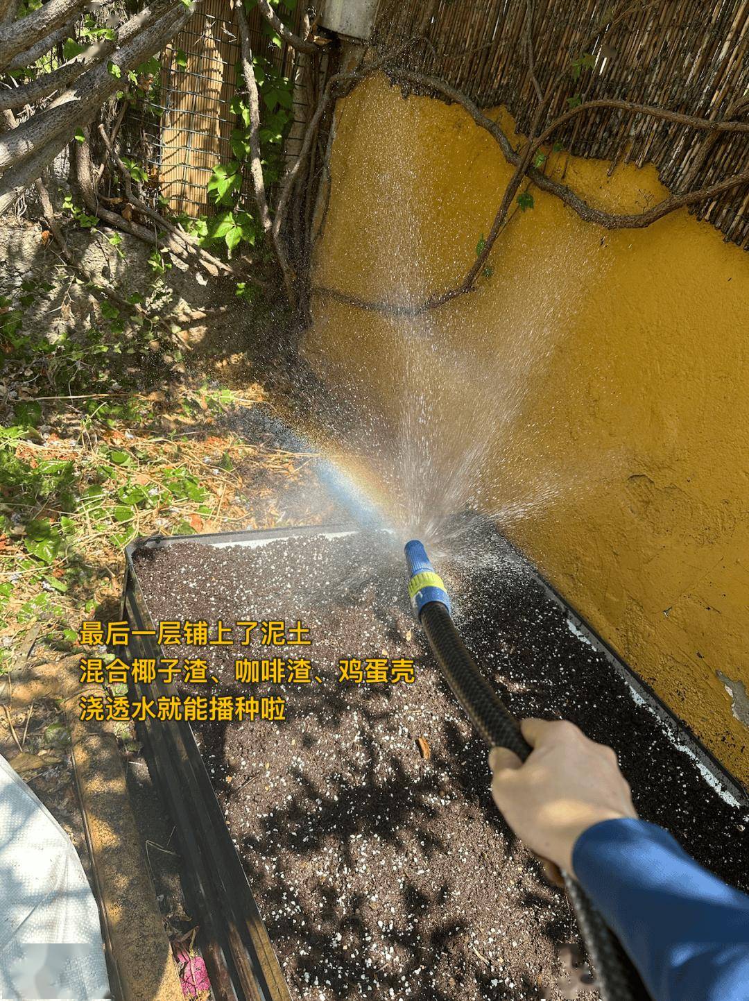 旅居巴塞罗那：为什么我宁愿花钱旅行，而不是存钱买房？