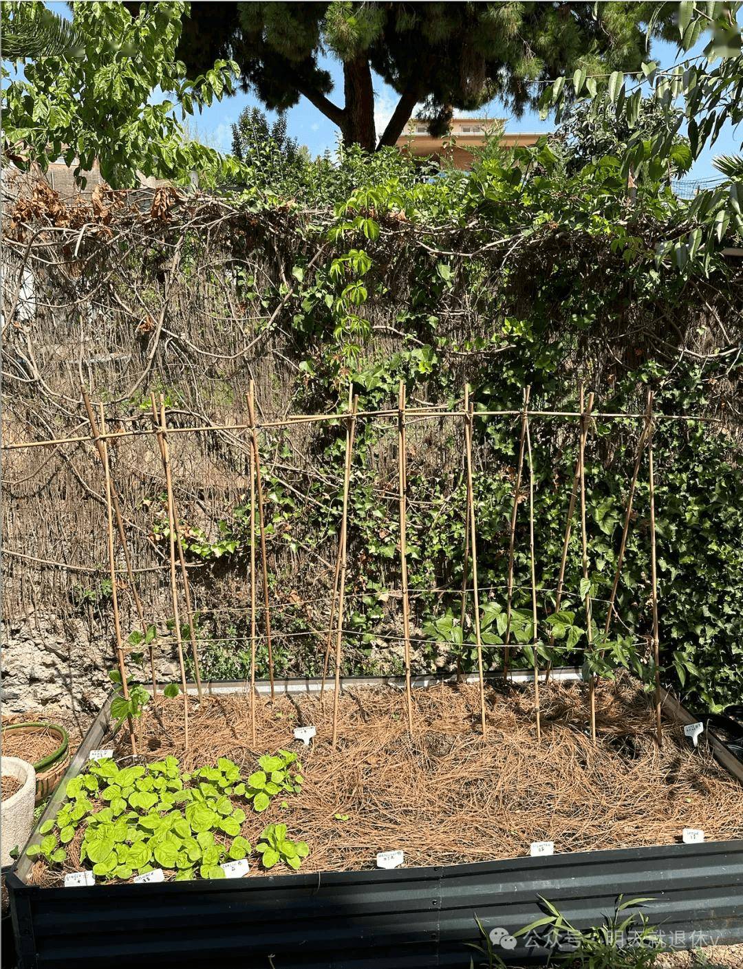 旅居巴塞罗那：为什么我宁愿花钱旅行，而不是存钱买房？